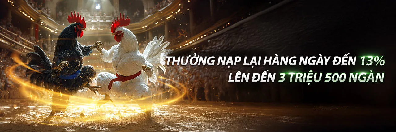Sân vận động sôi động với nhiều môn thể thao cá cược tại mayclub app
